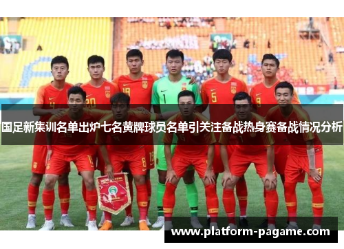 国足新集训名单出炉七名黄牌球员名单引关注备战热身赛备战情况分析