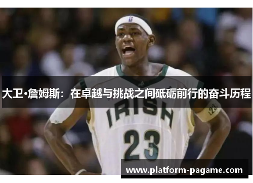 大卫·詹姆斯：在卓越与挑战之间砥砺前行的奋斗历程