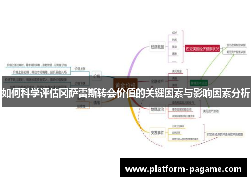 如何科学评估冈萨雷斯转会价值的关键因素与影响因素分析