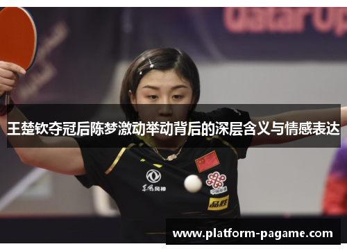 王楚钦夺冠后陈梦激动举动背后的深层含义与情感表达