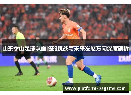 山东泰山足球队面临的挑战与未来发展方向深度剖析