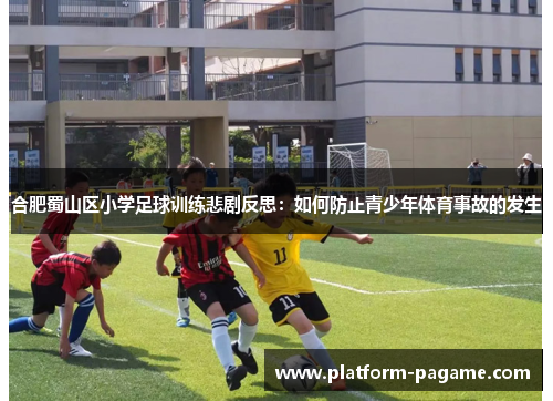 合肥蜀山区小学足球训练悲剧反思：如何防止青少年体育事故的发生