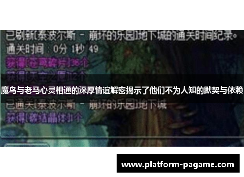 魔鸟与老马心灵相通的深厚情谊解密揭示了他们不为人知的默契与依赖 魔鸟与老马心灵相通的深厚情谊解密揭示了他们不为人知的默契与依赖