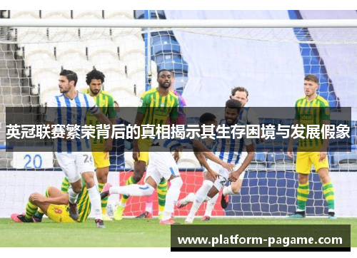 英冠联赛繁荣背后的真相揭示其生存困境与发展假象
