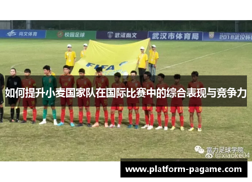 如何提升小麦国家队在国际比赛中的综合表现与竞争力 如何提升小麦国家队在国际比赛中的综合表现与竞争力
