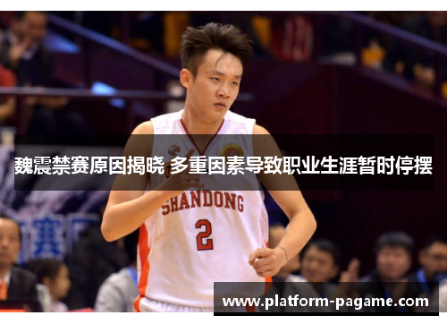 魏震禁赛原因揭晓 多重因素导致职业生涯暂时停摆